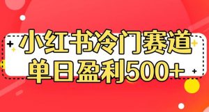 小红书冷门赛道，单日盈利500+【揭秘】-赚钱驿站