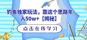 钓鱼独家玩法,靠这个思路年入50w+【揭秘】-赚钱驿站
