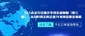 TikTok全方位通关专项企业陪跑【第三期】,从0到1真正的企业TK电商运营全流程-赚钱驿站