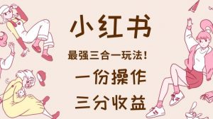 小红书最强三合一玩法,一份操作获得三份收益!【揭秘】-赚钱驿站