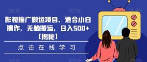 影视推广搬运项目,适合小白操作,无脑搬运,日入500+【揭秘】-赚钱驿站
