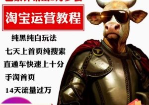 猫老师·淘系算法逆向解密，​纯黑纯白玩法，七天上首页纯搜索，手淘首页14天流量过万-赚钱驿站