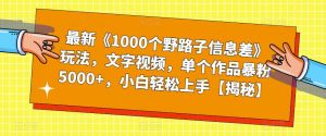 最新《1000个野路子信息差》玩法，文字视频，单个作品暴粉5000+，小白轻松上手【揭秘】-赚钱驿站