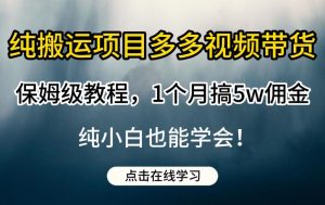 纯搬运项目多多视频带货保姆级教程,1个月搞5w佣金,纯小白也能学会【揭秘】-赚钱驿站