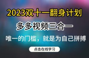 2023双十一翻身计划，多多视频带货三合一玩法教程【揭秘】-赚钱驿站