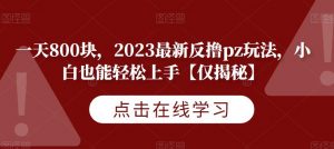 一天800块,2023最新反撸pz玩法,小白也能轻松上手【仅揭秘】-赚钱驿站