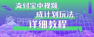避坑玩法:支付宝中视频分成计划玩法实操详解【揭秘】-赚钱驿站
