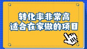 小红书虚拟电商项目:从小白到精英(视频课程+交付手册)-赚钱驿站