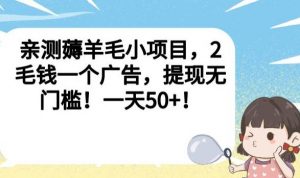 亲测薅羊毛小项目，2毛钱一个广告，提现无门槛！一天50+【揭秘】-赚钱驿站