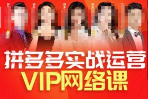 推易拼多多VIP全套直播课程,拼多多店铺实操玩法+实战玩法选款内功+直通车高阶等-赚钱驿站