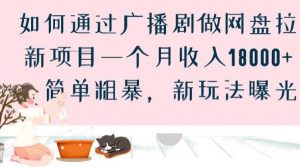 如何通过广播剧做网盘拉新项目一个月收入18000+,简单粗暴,新玩法曝光【揭秘】-赚钱驿站