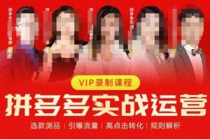 2023推易拼多多实战运营,选款测品、引爆流量、高点击转化、规则解析-赚钱驿站