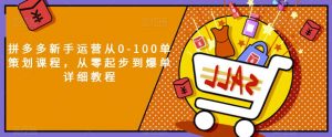 拼多多新手运营从0-100单策划课程,从零起步到爆单详细教程-赚钱驿站