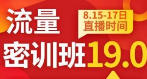 秋秋线上流量密训班19.0，打通流量关卡，线上也能实战流量破局-赚钱驿站