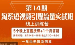 南掌柜·淘系短视频引爆流量实战班,短视频是一个没有天花板的流量入口-赚钱驿站