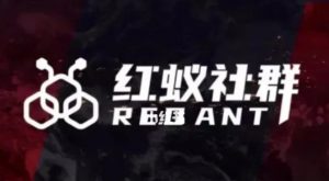 社群运营:红蚁社群【48节落地系统课程+2000人高端社群】-赚钱驿站