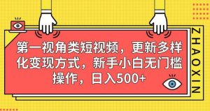 第一视角类短视频,更新多样化变现方式,新手小白无门槛操作,日入500+【揭秘】-赚钱驿站