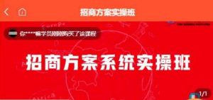 【一度招商】招商方案系统实操班 价值1980元-赚钱驿站