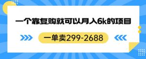 一单卖299-2688,一个靠复购就可以月入6k的暴利项目【揭秘】-赚钱驿站