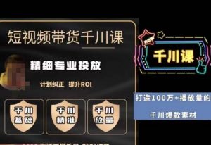 短视频带货-千川专业投放课,精细化专业投放,计划纠正,提升ROI-赚钱驿站