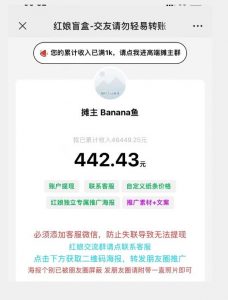 盲盒交友5.0，男粉变现实操项目，亲测变现效果极好【揭秘】-赚钱驿站