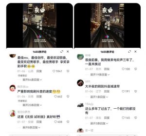副业拆解:抖音杰伦音乐号涨粉变现项目,视频版一条龙实操玩法分享给你-赚钱驿站