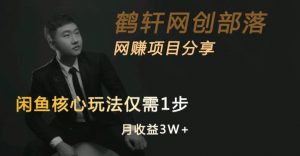 闲鱼核心玩法不卖货也能1年变现20W,玩法简单-赚钱驿站