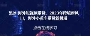黑冰·海外短视频带货,2023年跨境新风口,海外小黄车带货新机遇-赚钱驿站