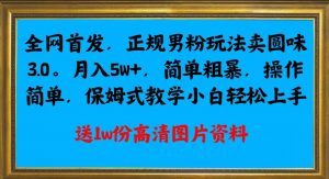 全网首发正规男粉玩法卖圆味3.0,月入5W+,简单粗暴,操作简单,保姆式教学,小白轻松上手-赚钱驿站