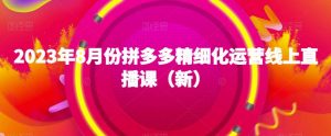 2023年8月份拼多多精细化运营线上直播课(新)-赚钱驿站