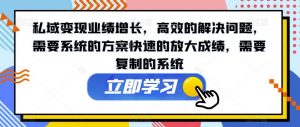 私域变现业绩增长,高效的解决问题,需要系统的方案快速的放大成绩,需要复制的系统-赚钱驿站