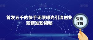 首发五千的快手无限曝光引流创业粉精准粉揭秘-赚钱驿站