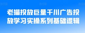 老猫投放巨量千川广告投放学习实操系列基础逻辑-赚钱驿站