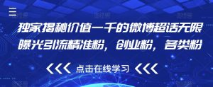 独家揭秘价值一千的微博超话无限曝光引流精准粉,创业粉,各类粉-赚钱驿站