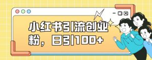 小红书引流创业粉,日引100+【揭秘】-赚钱驿站