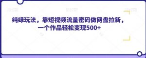 纯绿玩法,靠短视频流量密码做网盘拉新,一个作品轻松变现500+【揭秘】-赚钱驿站