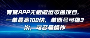 有驾APP无脑搬运零撸项目,一单最高100块,单账号可撸3次,可多号操作【揭秘】-赚钱驿站