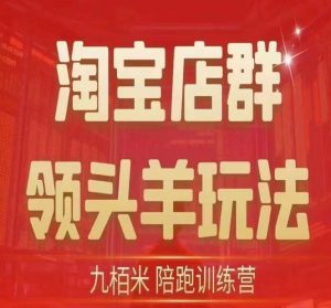 九栢米-淘宝店群领头羊玩法,教你整个淘宝店群领头羊玩法以及精细化/终极蓝海/尾销等内容-赚钱驿站