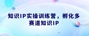 知识IP实操训练营，​孵化多赛道知识IP-赚钱驿站
