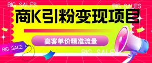 商K引粉变现项目,高客单价精准流量【揭秘】-赚钱驿站