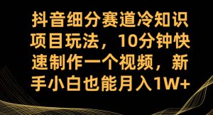 抖音细分赛道冷知识项目玩法,10分钟快速制作一个视频,新手小白也能月入1W+【揭秘】-赚钱驿站