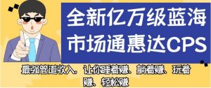 全新亿万级蓝海市场通惠达cps,最强管道收入,让你睡着赚、躺着赚、玩着赚、轻松赚【揭秘】-赚钱驿站