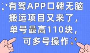 有驾APP口碑无脑搬运项目又来了，单号最高110块，可多号操作-赚钱驿站