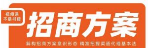 王昕招商方案,解构招商方案意识形态,精准把握渠道代理基本法-赚钱驿站