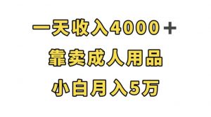 一天收入4000+,靠卖成人用品,小白轻松月入5万【揭秘】-赚钱驿站