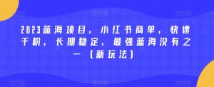 2023蓝海项目,小红书商单,快速千粉,长期稳定,最强蓝海没有之一(新玩法)-赚钱驿站