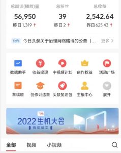 全新蓝海,西瓜视频流量掘金项目,简单上手适合0基础小白,暴力玩法日入500+【揭秘】-赚钱驿站