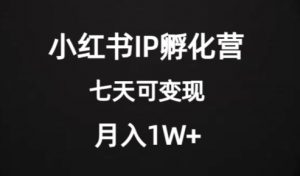 价值2000+的小红书IP孵化营项目,超级大蓝海,七天即可开始变现,稳定月入1W+-赚钱驿站