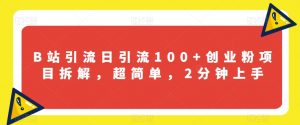 B站引流日引流100+创业粉项目拆解,超简单,2分钟上手【揭秘】-赚钱驿站