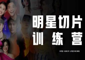 王子·明星切片线上训练营(2023),和明星一起拿红利,让明星为我们赚钱-赚钱驿站